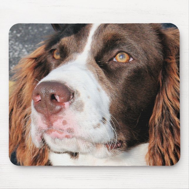 Mousepad Baxter - Spaniel de Springer inglês Photo-06 (Frente)