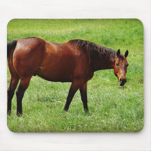 Mousepad Bay Horse (Frente)