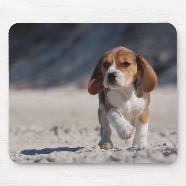 Mousepad Beagle (Frente)
