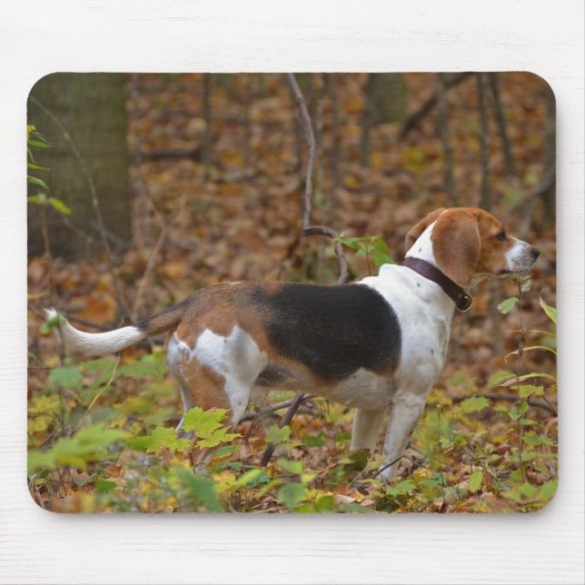 Mousepad Beagle em Woods (Frente)