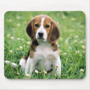 Mousepad Beagle Puppy