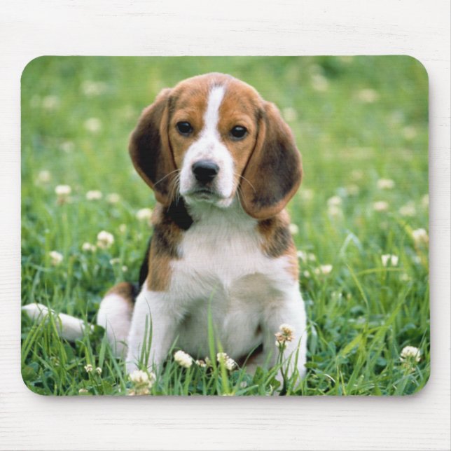 Mousepad Beagle Puppy (Frente)