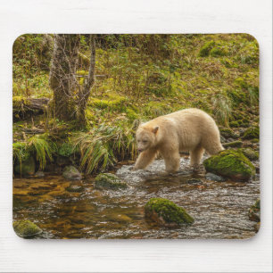 Mousepad Bear Espírito Branco Caça peixes em Riordan Creek