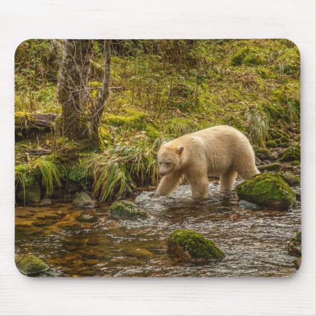 Mousepad Bear Espírito Branco Caça peixes em Riordan Creek (Frente)