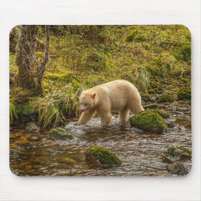 Mousepad Bear Espírito Branco Caça peixes em Riordan Creek (Frente)