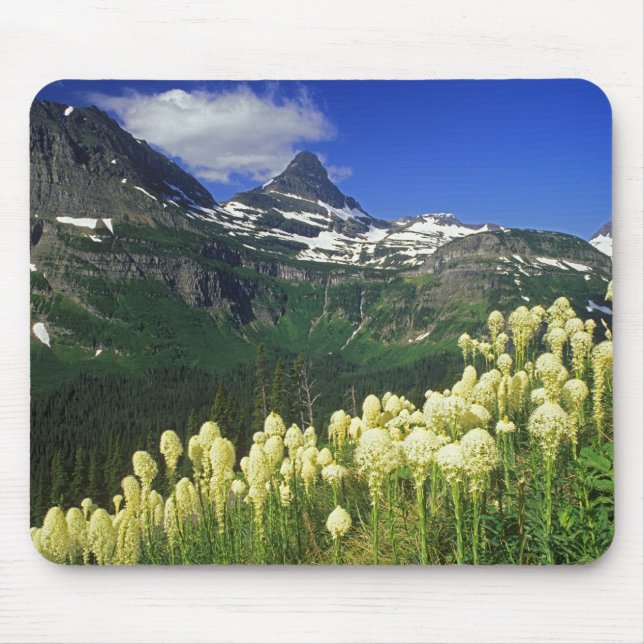 Mousepad Beargrass no Logan Pass no Parque Nacional Glacier (Frente)