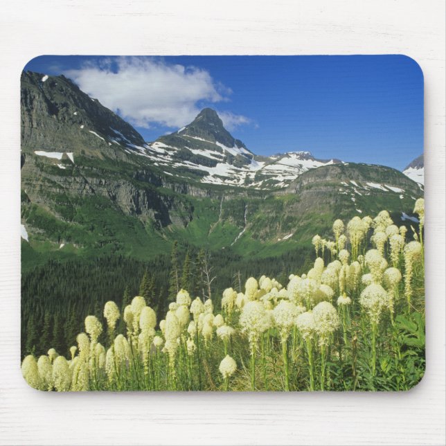 Mousepad Beargrass perto de Logan Pass no Parque Nacional G (Frente)