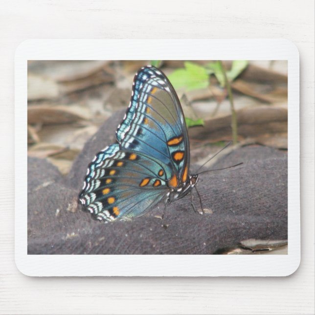 Mousepad Beautiful Blue Orange and Black Butterfly. (Frente)