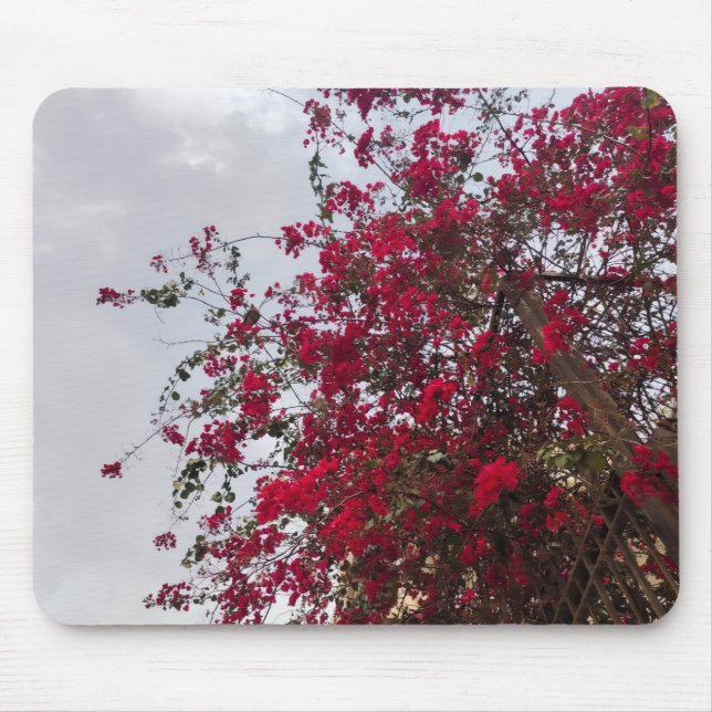 Mousepad Beautiful red Bougainvillea Flowers & Cloudy Sky  (Frente)