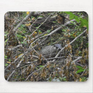 Mousepad Beaver Ocupado