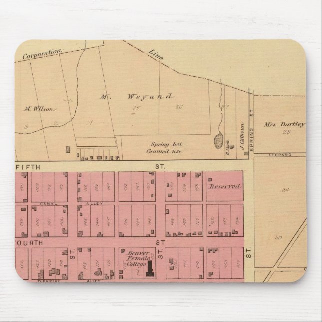 Mousepad Beaver (Pensilvânia) (Frente)