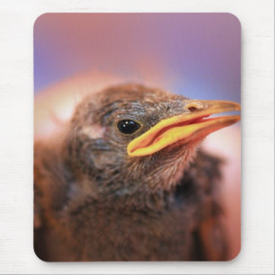Mousepad Bebê