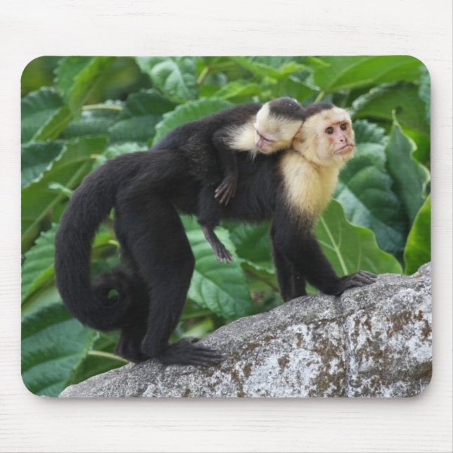 Mousepad Bebê adulto do carregando do macaco do Capuchin em (Frente)