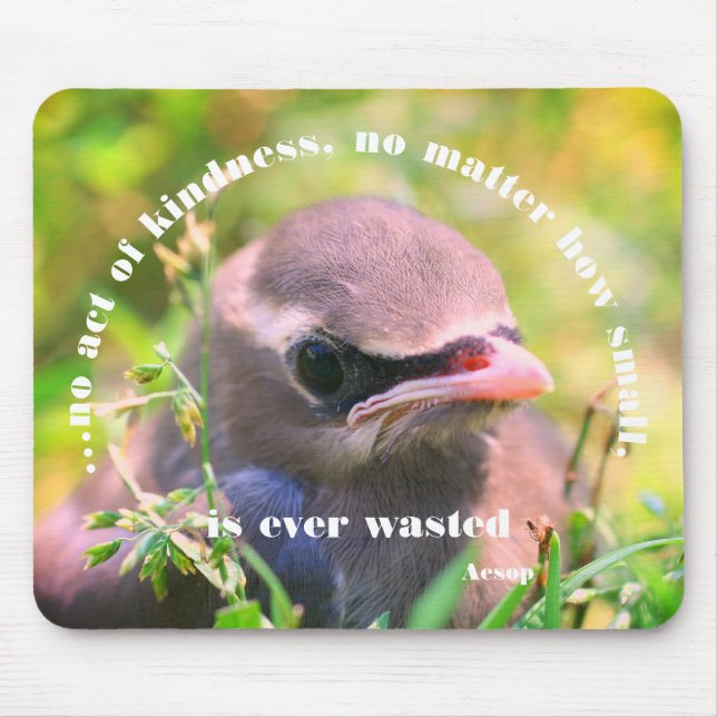 Mousepad Bebê Bird Kindness Citação Inspiradora (Frente)