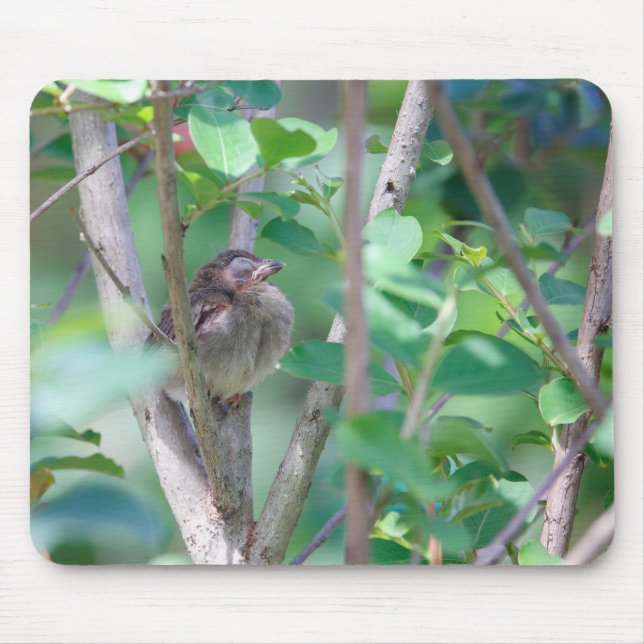 Mousepad Bebê Cardinal Dormindo (Frente)