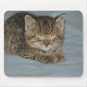 Mousepad Bebé de gato