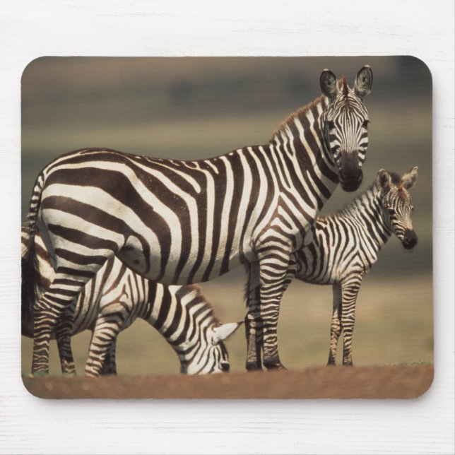 Mousepad Bebê de zebra-de-burchell com a mãe (Frente)