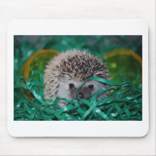 Mousepad Bebê do ouriço na grama da páscoa