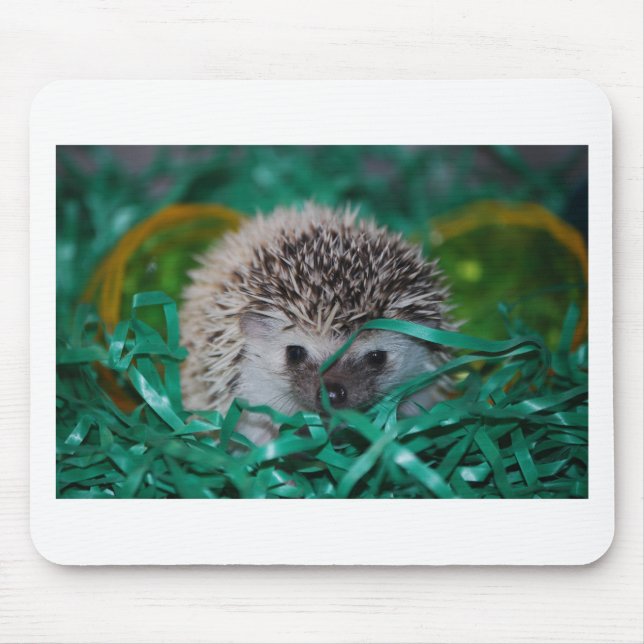 Mousepad Bebê do ouriço na grama da páscoa (Frente)