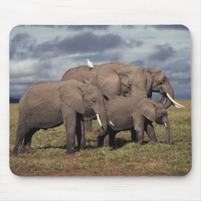 Mousepad Bebê Elefante Africano com família (Frente)