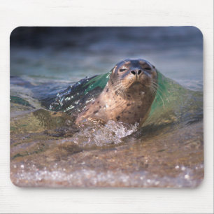Mousepad Bebê Foca-do-porto
