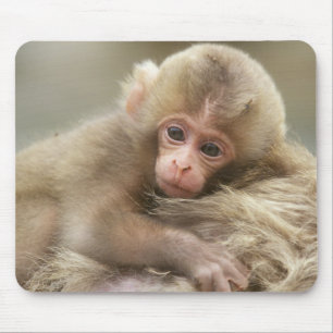 Mousepad Bebê Macaco da Neve, Jigokudani, Nagano, Japão 2