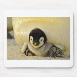 Mousepad Bebê pinguim