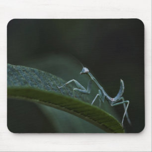 Mousepad Bebê Rezando Mantis