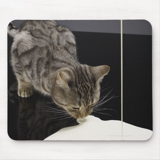 Mousepad Bebendo de prata de gato creme do chão (Frente)