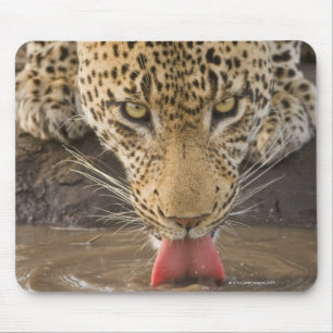 Mousepad Bebendo do leopardo, maior parque nacional de