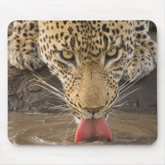 Mousepad Bebendo Leopardo, Parque Nacional do Grande Kruger (Frente)