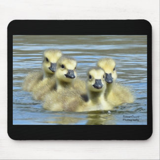 Mousepad Bebês