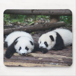 Mousepad Bebês de Panda Fofos Tapete de Rato