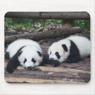 Mousepad Bebês de Panda Fofos Tapete de Rato