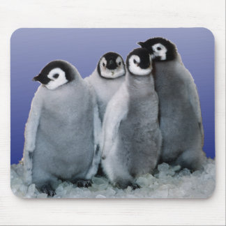 Mousepad Bebês do pinguim