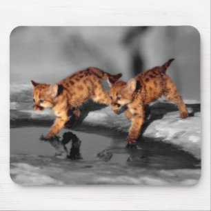 Mousepad Bebês Leopardos