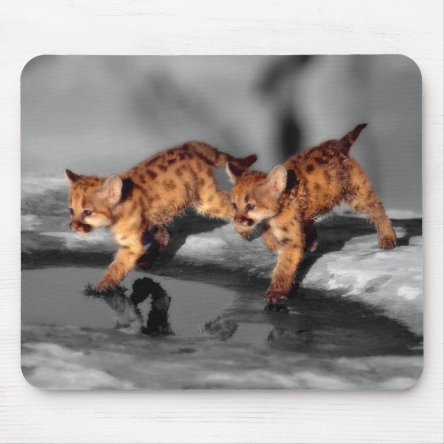 Mousepad Bebês Leopardos (Frente)