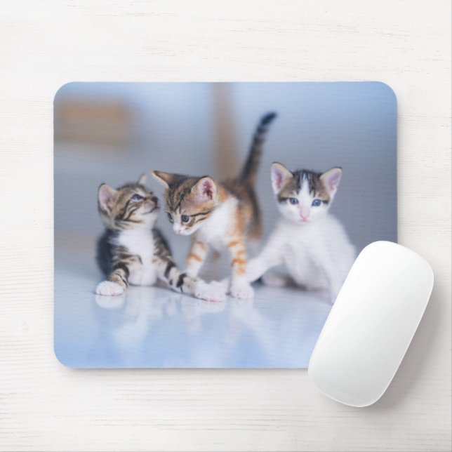 Mousepad Bebês Mais Pobres | 3 Gatinhos Tabby (Com mouse)