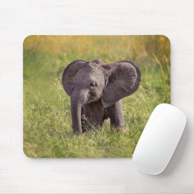 Mousepad Bebês Mais Pobres | Baby Elephant Kenya Africa (Com mouse)