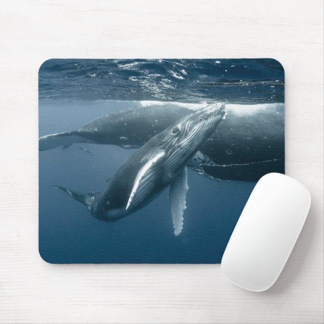 Mousepad Bebês Mais Pobres | Baleia-jubarte (Com mouse)