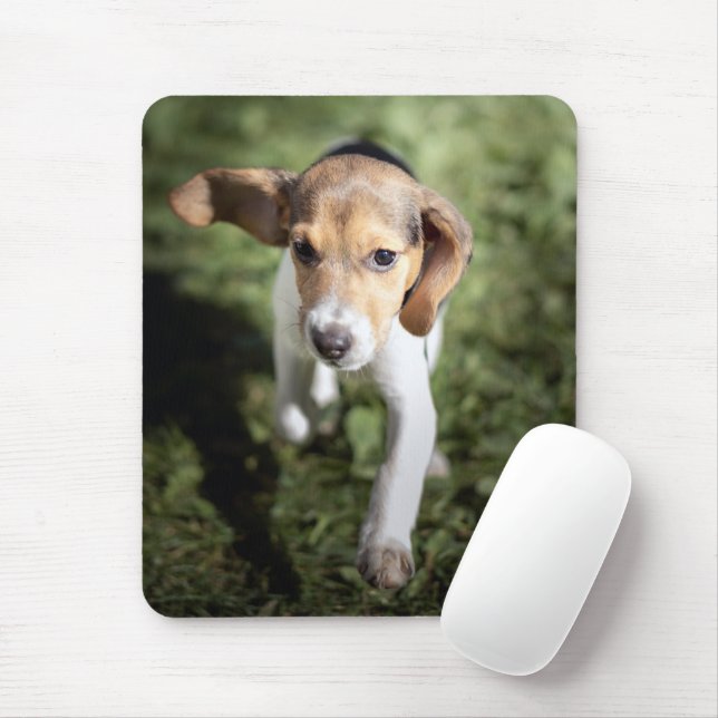 Mousepad Bebês Mais Pobres | Beagle Puppy (Com mouse)