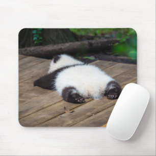 Mousepad Bebês Mais Pobres Bebê Giant Panda Dormindo