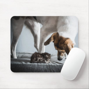 Mousepad Bebês Mais Pobres Bebê Kitten e Cachorro