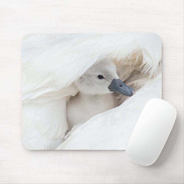 Mousepad Bebês Mais Pobres | Bebê-Mute Swan (Com mouse)