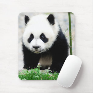 Mousepad Bebês Mais Pobres Bebê-Panda