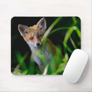 Mousepad Bebês Mais Pobres   Bebê-Raposa Vermelha