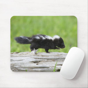 Mousepad Bebês Mais Pobres   Bebê Skunk