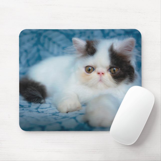Mousepad Bebês Mais Pobres | Black & White Kitten (Com mouse)