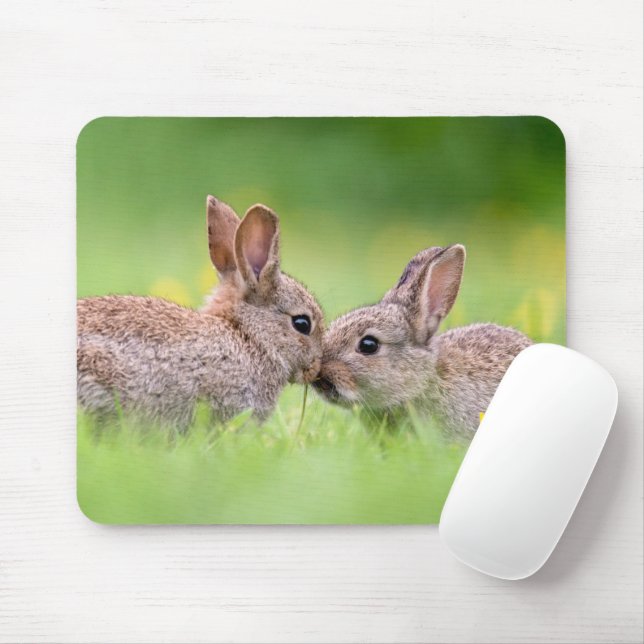 Mousepad Bebês Mais Pobres | Bunny Kiss (Com mouse)
