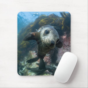 Mousepad Bebês Mais Pobres   Cabo de peles submarinas